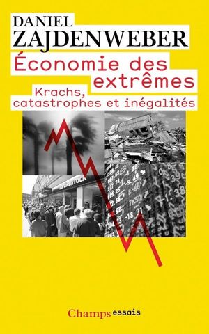 Economie des extrêmes - Krachs, catastrophes et inégalités